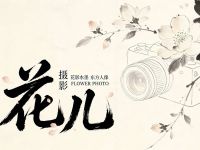 花儿摄影(北京昌平区)